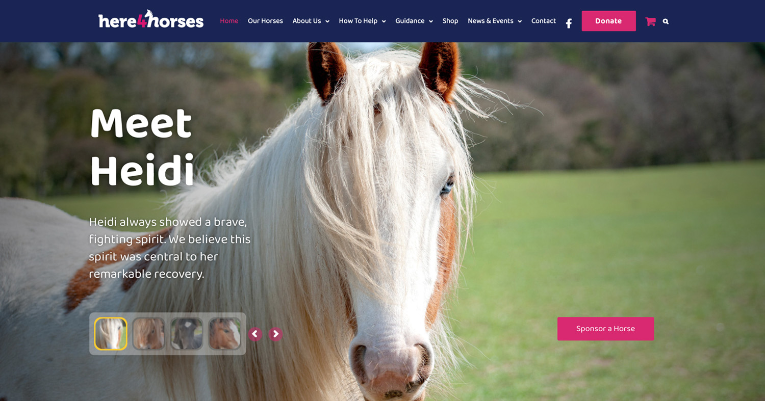 Here4horses logo