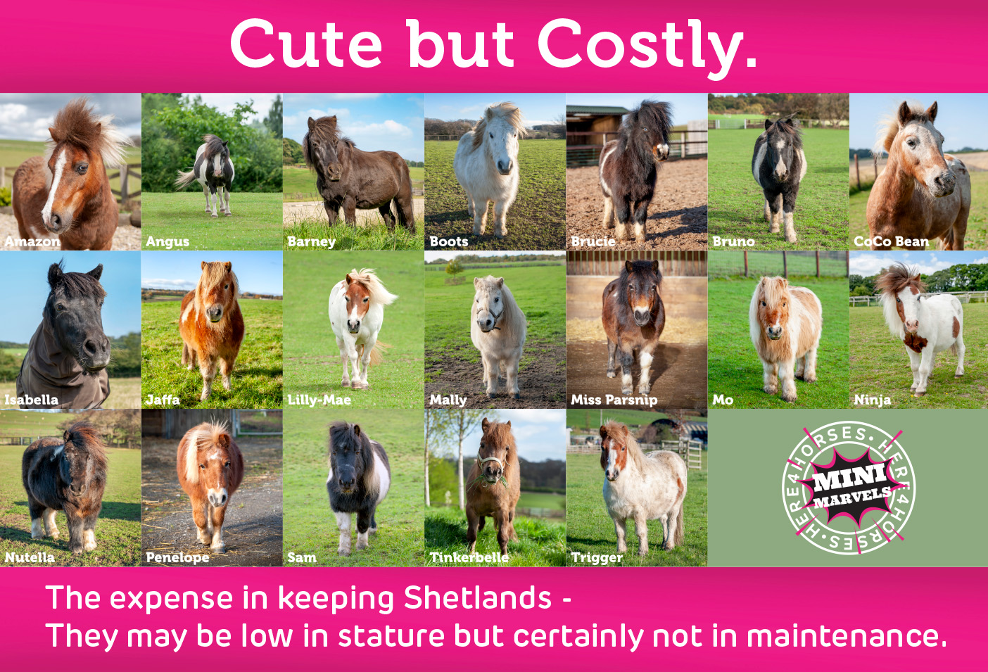 Here4Horses_Mini_Marvels