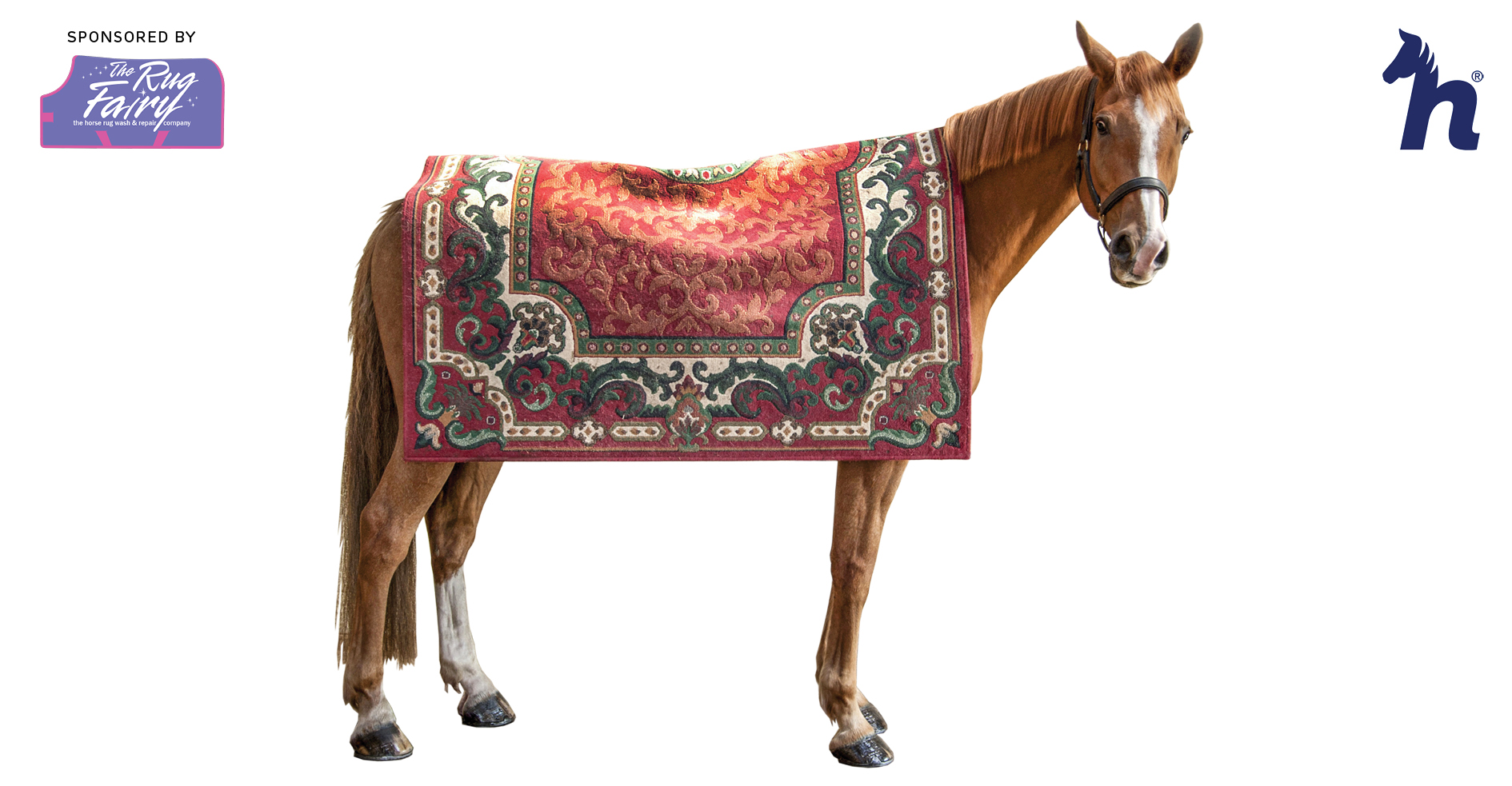 Here4Horses_Autumn_Tack_Rug_Banner